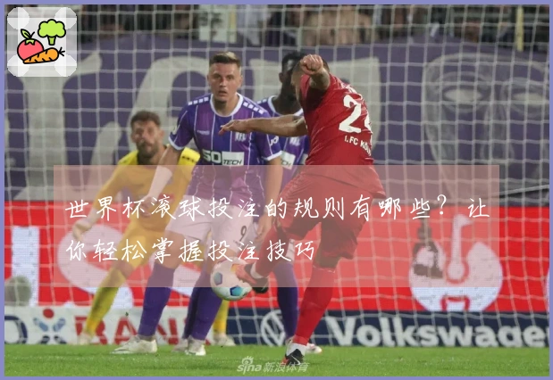 世界杯滚球投注的规则有哪些？让你轻松掌握投注技巧