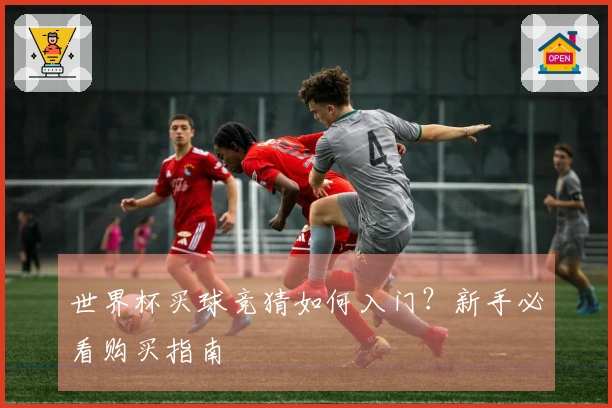 世界杯买球竞猜如何入门？新手必看购买指南