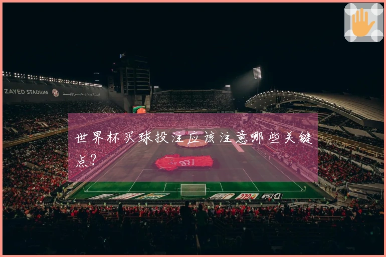 世界杯买球投注应该注意哪些关键点？