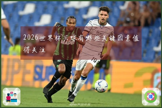 2026世界杯买球有哪些关键因素值得关注